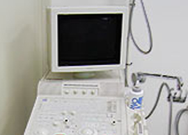 �����g�f�f���u