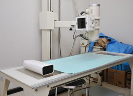 �����g�Q��